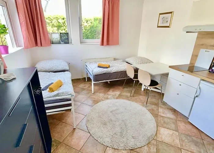 Apartment With Parking & Fitness Vienna