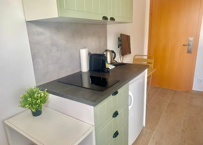 With Parking & Fitness Apartment Vienna
